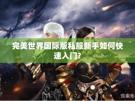 完美世界国际版私服新手如何快速入门?