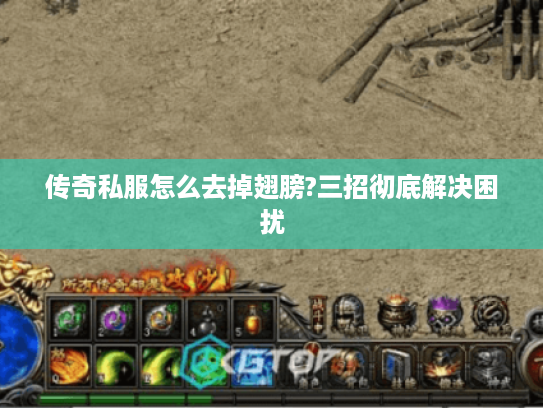 传奇私服怎么去掉翅膀?三招彻底解决困扰