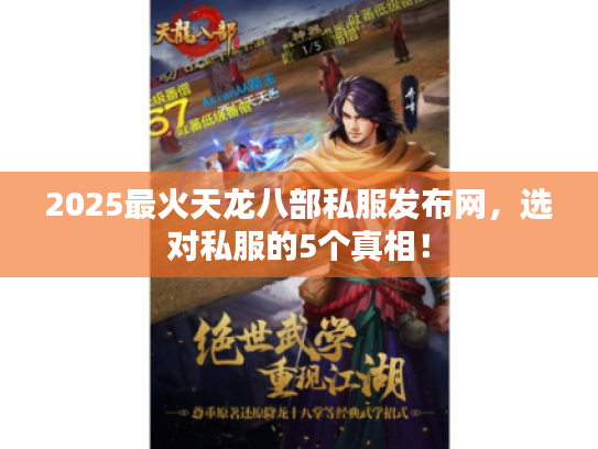 2025最火天龙八部私服发布网，选对私服的5个真相！
