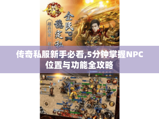 传奇私服新手必看,5分钟掌握NPC位置与功能全攻略