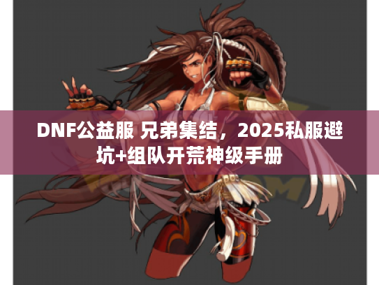DNF公益服 兄弟集结，2025私服避坑+组队开荒神级手册