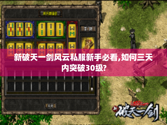新破天一剑风云私服新手必看,如何三天内突破30级?