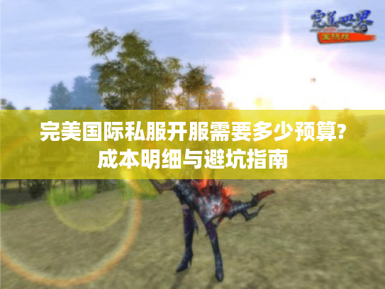 完美国际私服开服需要多少预算?成本明细与避坑指南