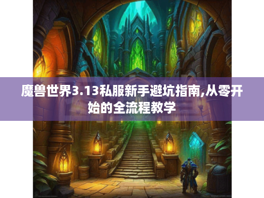 魔兽世界3.13私服新手避坑指南,从零开始的全流程教学