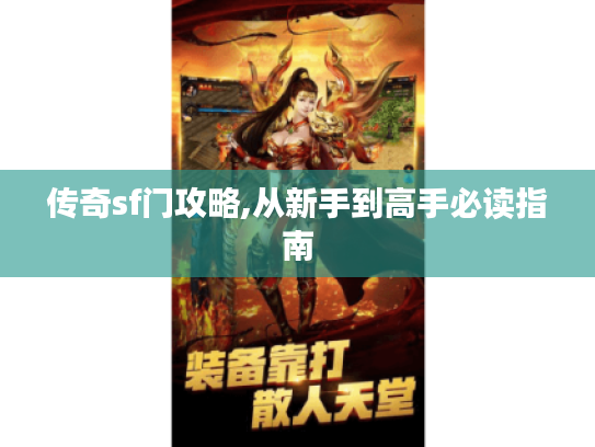 传奇sf门攻略,从新手到高手必读指南