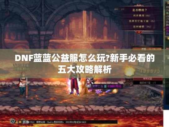 DNF蓝蓝公益服怎么玩?新手必看的五大攻略解析