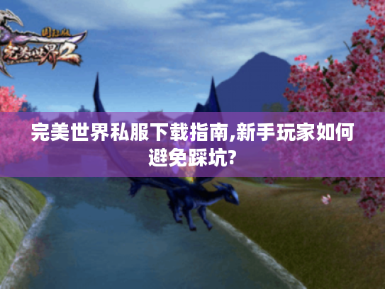 完美世界私服下载指南,新手玩家如何避免踩坑?