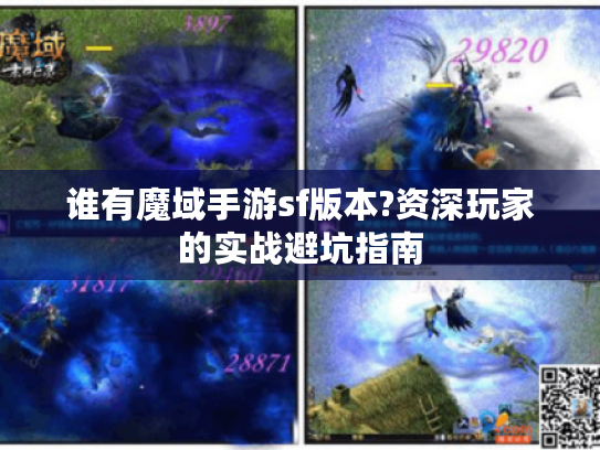 谁有魔域手游sf版本?资深玩家的实战避坑指南