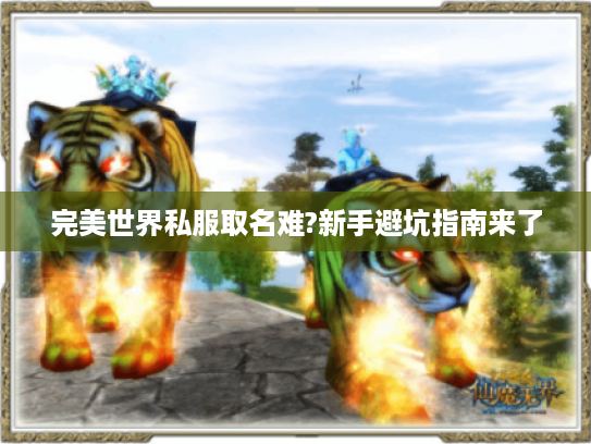 完美世界私服取名难?新手避坑指南来了