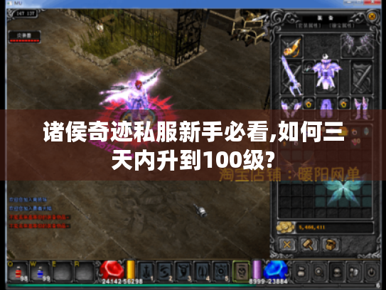 诸侯奇迹私服新手必看,如何三天内升到100级?