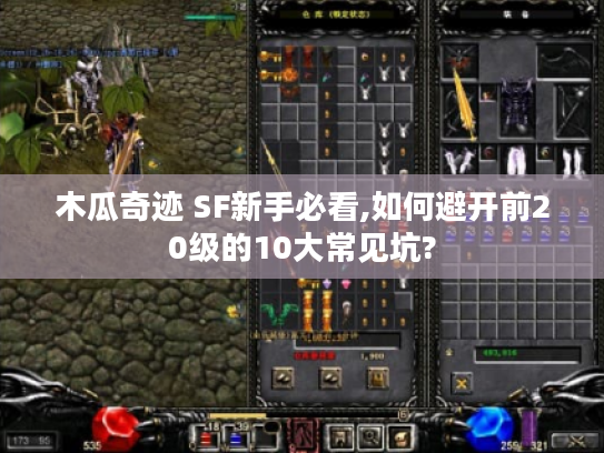 木瓜奇迹 SF新手必看,如何避开前20级的10大常见坑?