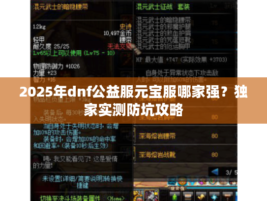 2025年dnf公益服元宝服哪家强？独家实测防坑攻略