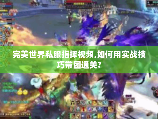 完美世界私服指挥视频,如何用实战技巧带团通关?