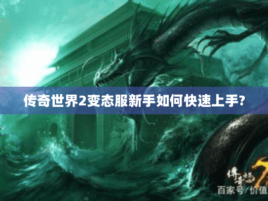 传奇世界2变态服新手如何快速上手? 传奇世界2变态服新手如何快速上手?