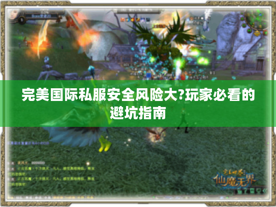 完美国际私服安全风险大?玩家必看的避坑指南