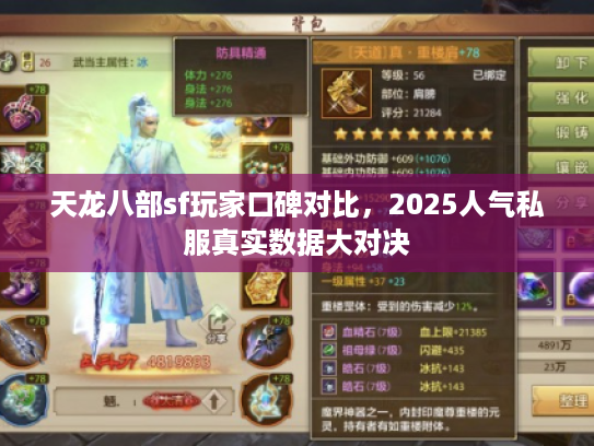 天龙八部sf玩家口碑对比，2025人气私服真实数据大对决