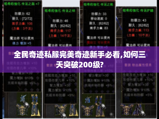 全民奇迹私服完美奇迹新手必看,如何三天突破200级?
