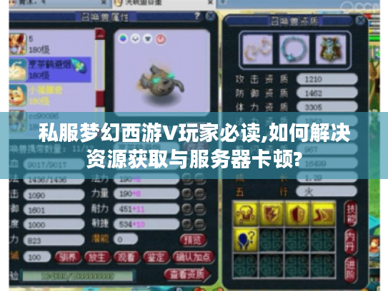 私服梦幻西游V玩家必读,如何解决资源获取与服务器卡顿?