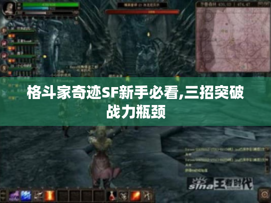 格斗家奇迹SF新手必看,三招突破战力瓶颈