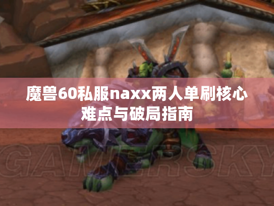 魔兽60私服naxx两人单刷核心难点与破局指南