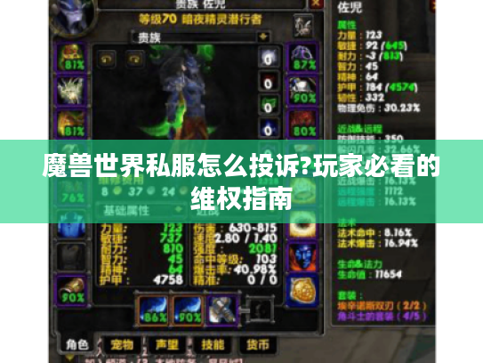 魔兽世界私服怎么投诉?玩家必看的维权指南 魔兽世界私服怎么投诉?玩家必看的维权指南