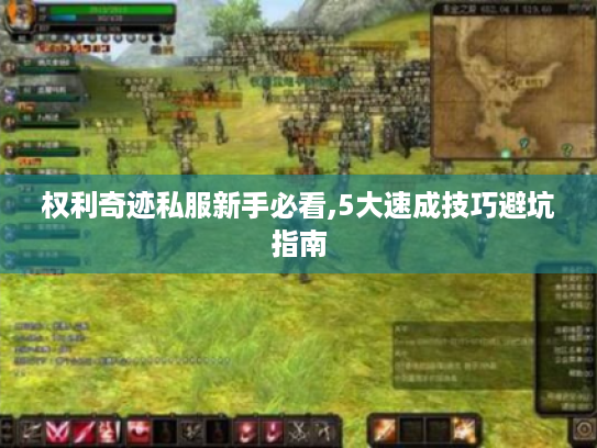 权利奇迹私服新手必看,5大速成技巧避坑指南
