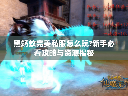 黑蚂蚁完美私服怎么玩?新手必看攻略与资源揭秘