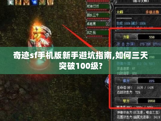 奇迹sf手机版新手避坑指南,如何三天突破100级? 奇迹sf手机版新手避坑指南,如何三天突破100级?
