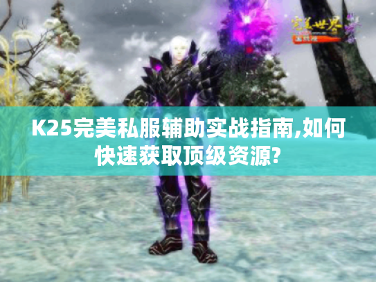 K25完美私服辅助实战指南,如何快速获取顶级资源?