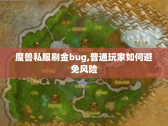 魔兽私服刷金bug,普通玩家如何避免风险