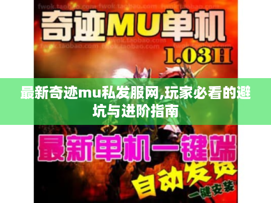最新奇迹mu私发服网,玩家必看的避坑与进阶指南
