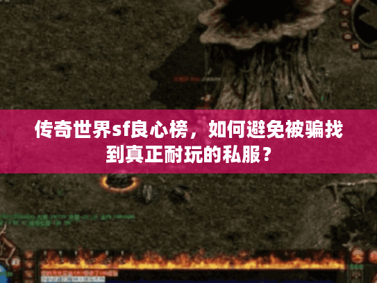 传奇世界sf良心榜，如何避免被骗找到真正耐玩的私服？