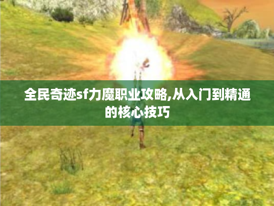 全民奇迹sf力魔职业攻略,从入门到精通的核心技巧