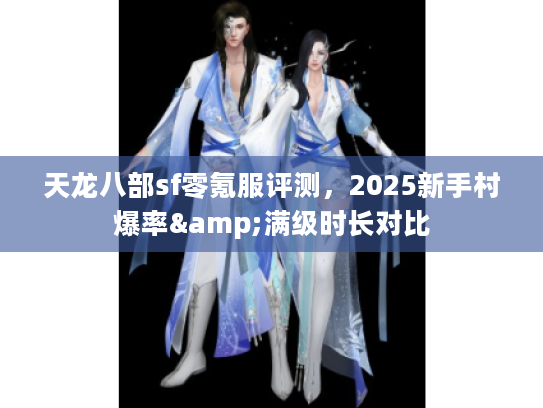 天龙八部sf零氪服评测，2025新手村爆率&满级时长对比