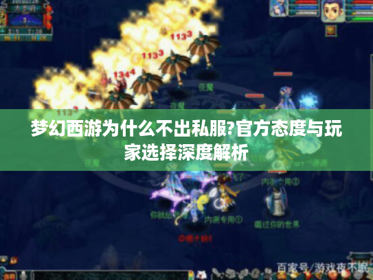 梦幻西游为什么不出私服?官方态度与玩家选择深度解析