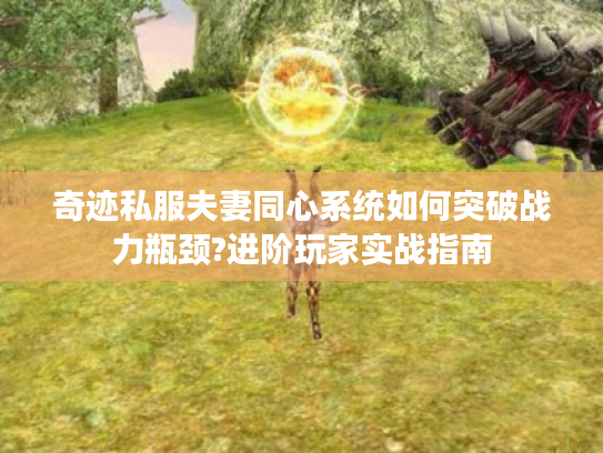 奇迹私服夫妻同心系统如何突破战力瓶颈?进阶玩家实战指南