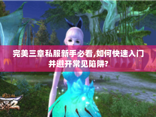 完美三章私服新手必看,如何快速入门并避开常见陷阱?
