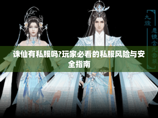 诛仙有私服吗?玩家必看的私服风险与安全指南