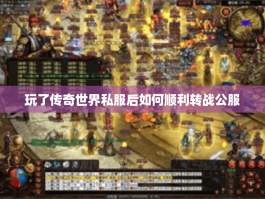 玩了传奇世界私服后如何顺利转战公服
