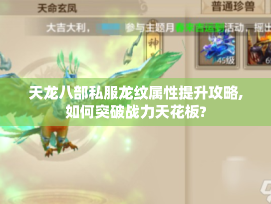 天龙八部私服龙纹属性提升攻略,如何突破战力天花板? 天龙八部私服龙纹属性提升攻略,如何突破战力天花板?