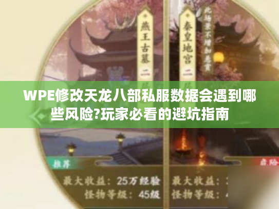 WPE修改天龙八部私服数据会遇到哪些风险?玩家必看的避坑指南