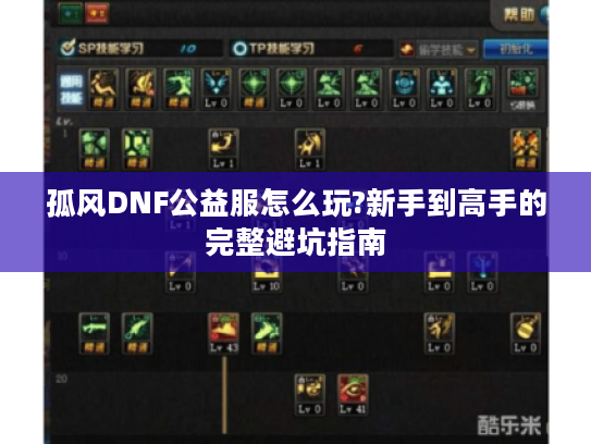 孤风DNF公益服怎么玩?新手到高手的完整避坑指南
