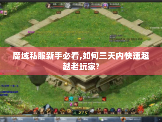 魔域私服新手必看,如何三天内快速超越老玩家? 魔域私服新手必看,如何三天内快速超越老玩家?