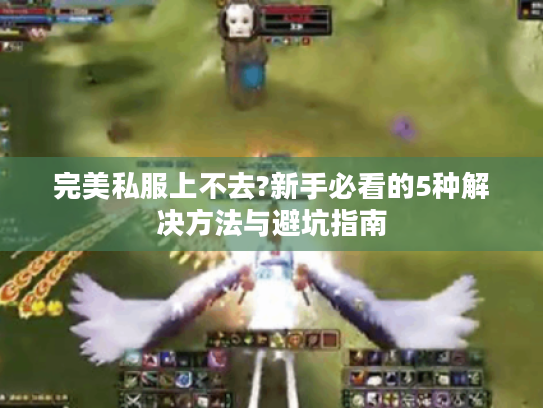 完美私服上不去?新手必看的5种解决方法与避坑指南