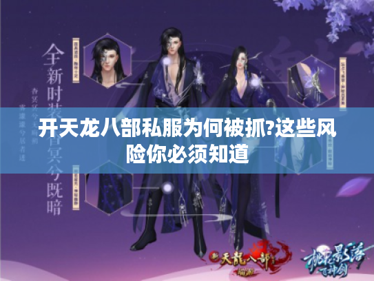 开天龙八部私服为何被抓?这些风险你必须知道