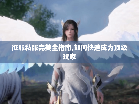 征服私服完美全指南,如何快速成为顶级玩家