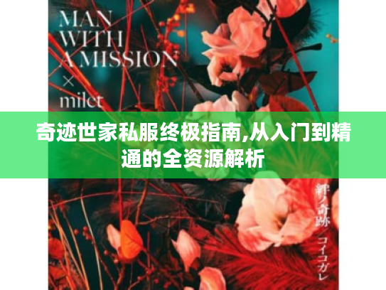 奇迹世家私服终极指南,从入门到精通的全资源解析