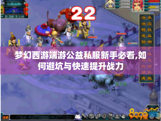 梦幻西游端游公益私服新手必看,如何避坑与快速提升战力