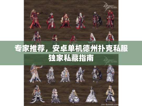 专家推荐,安卓单机德州扑克私服独家私藏指南 专家推荐,安卓单机德州扑克私服独家私藏指南