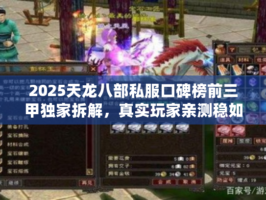 2025天龙八部私服口碑榜前三甲独家拆解，真实玩家亲测稳如泰山